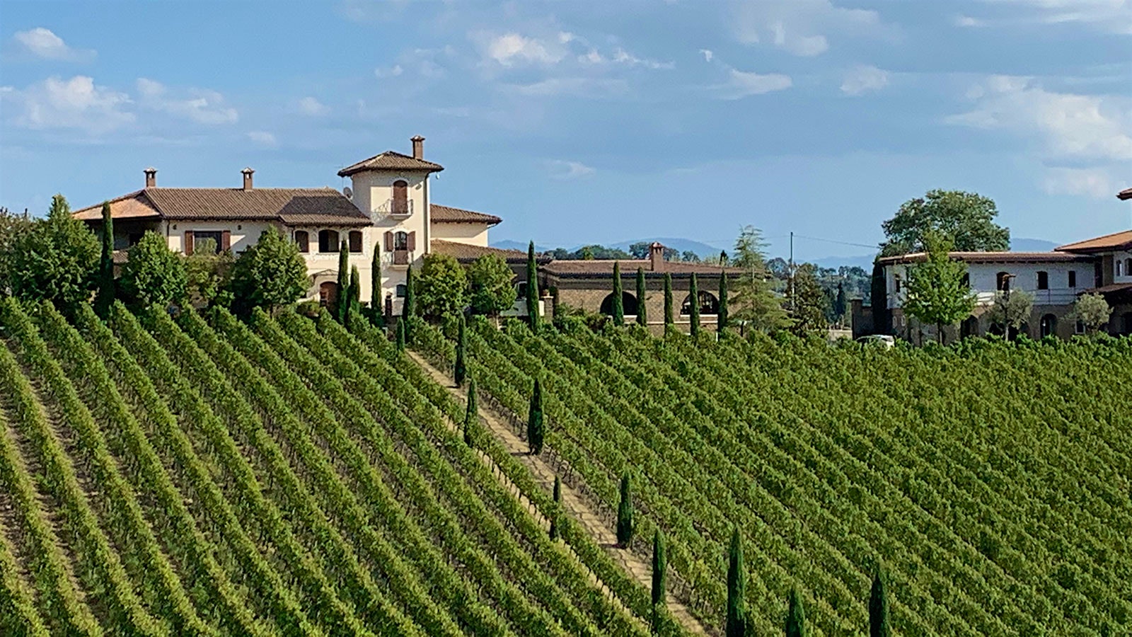 The hilltop Quintodecimo winery with vineyards spreading around it
